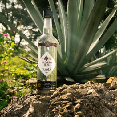 Mezcal Victorious Barril